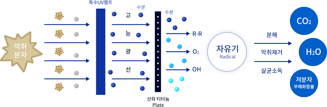 악취분자,악취제거,살균소독,분해